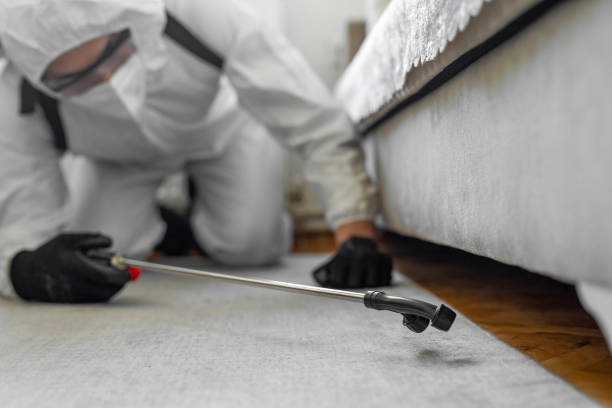 Professional Ant Control technician working in Bard College, NY