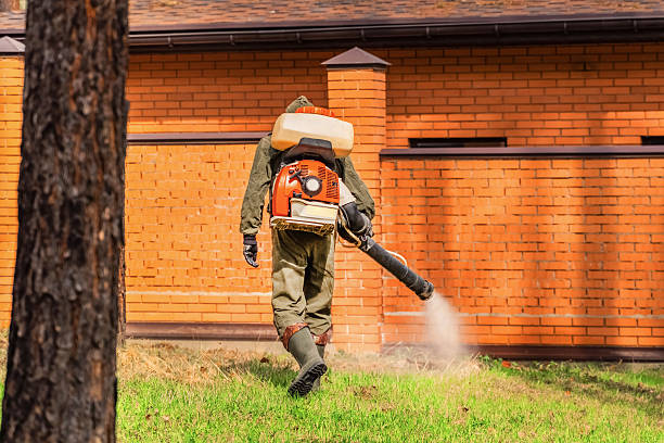 Trusted Bed Bug Control service in Bard College, NY - Nex Pest Control